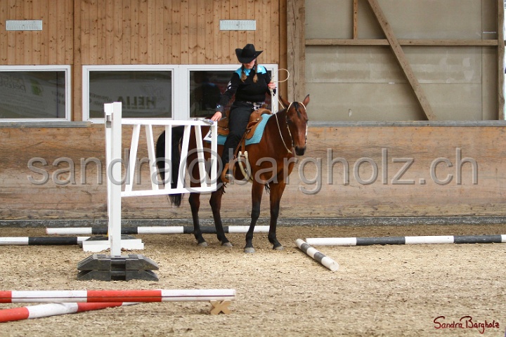 28-ApHC OT_312.jpg